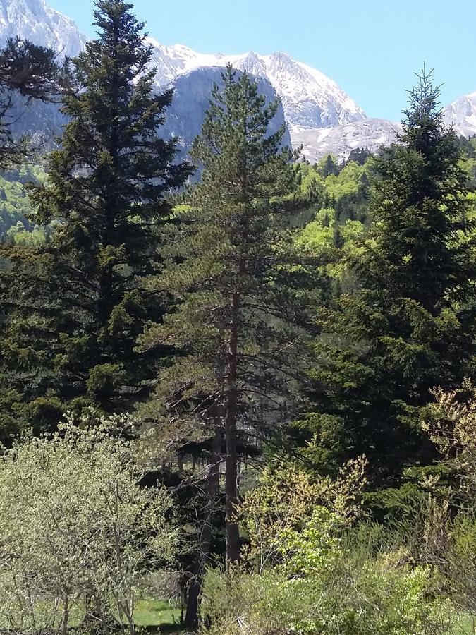 Hospederia Prepirineo Hotel Undués-Pintano Buitenkant foto